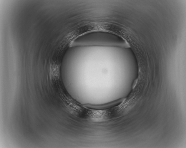 X0000115360096200911101205