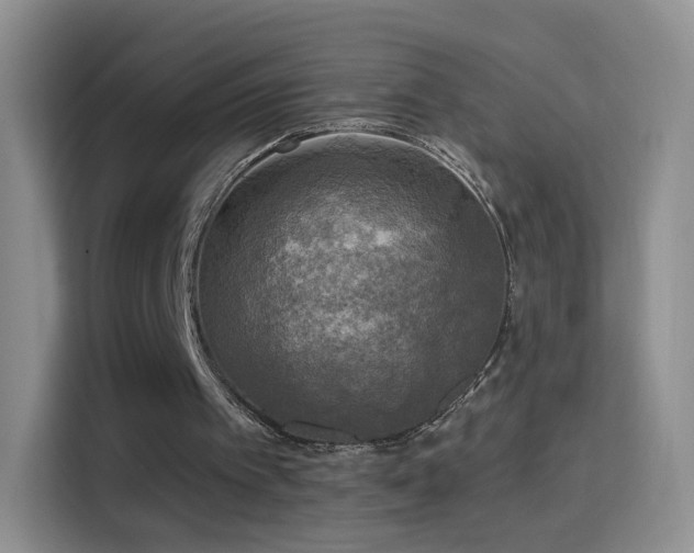X0000115360097200911101205