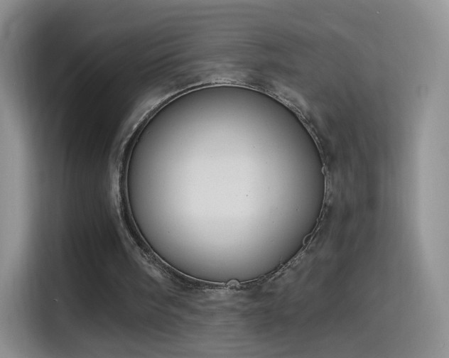 X0000115360098200911101205