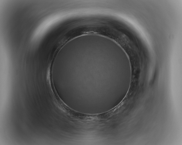 X0000115360099200911101205