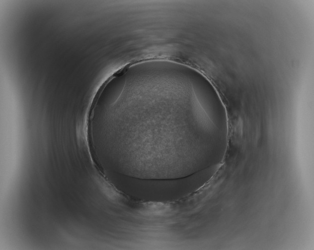 X0000115360100200911101205