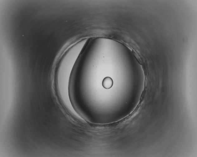 X0000115360101200911101205