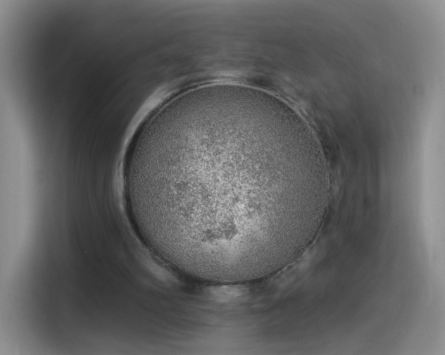 X0000115360102200911101205