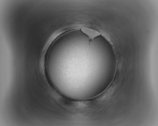 X0000115360103200911101205