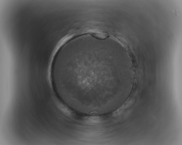 X0000115360104200911101205