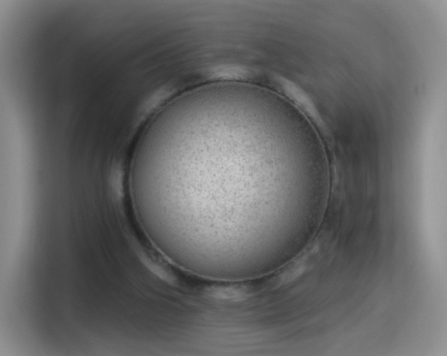 X0000115360106200911101205