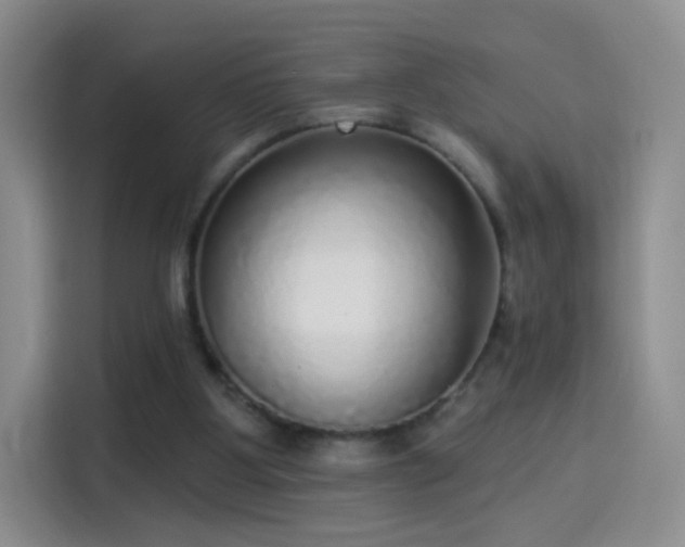 X0000115360107200911101205