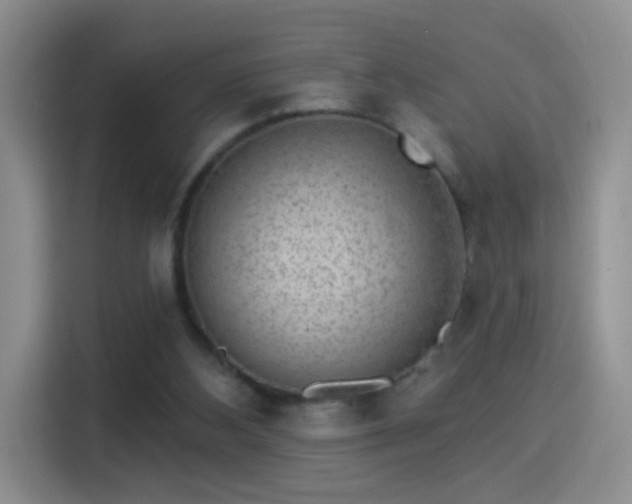 X0000115360108200911101205