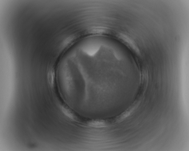 X0000115360110200911101205