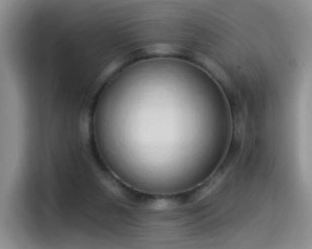 X0000115360111200911101205