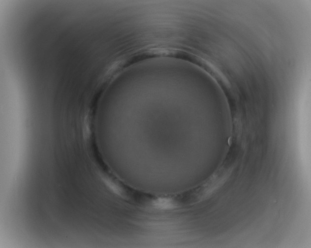 X0000115360114200911101205
