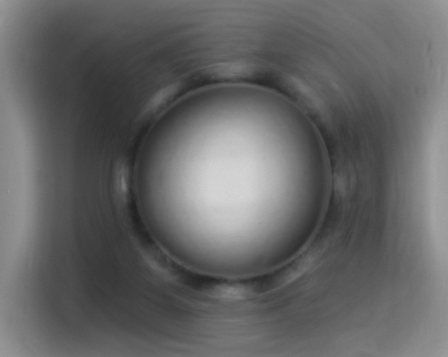 X0000115360115200911101205