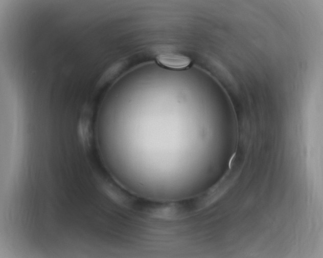 X0000115360116200911101205