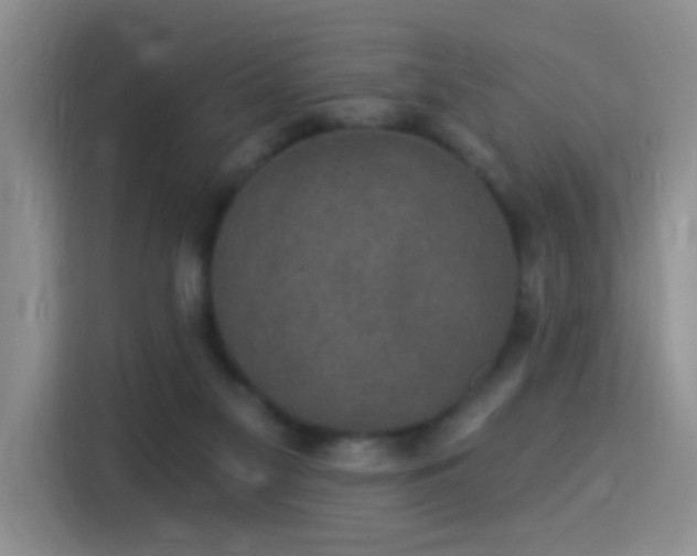 X0000115360117200911101205