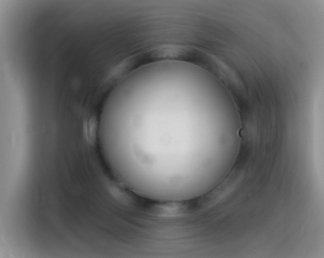 X0000115360118200911101205