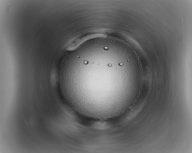 X0000115360119200911101205