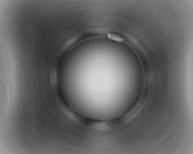 X0000115360120200911101204