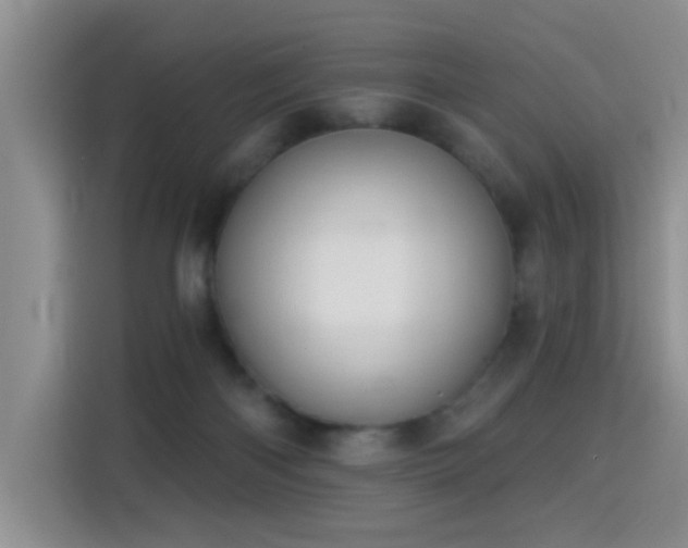 X0000115360122200911101204