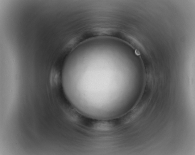 X0000115360123200911101204