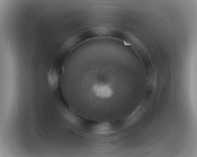 X0000115360124200911101204