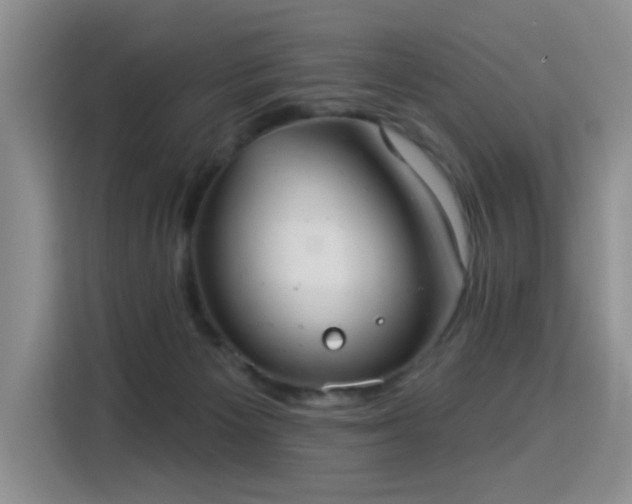 X0000115360125200911101204
