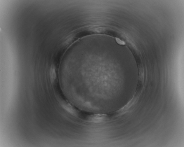 X0000115360128200911101204