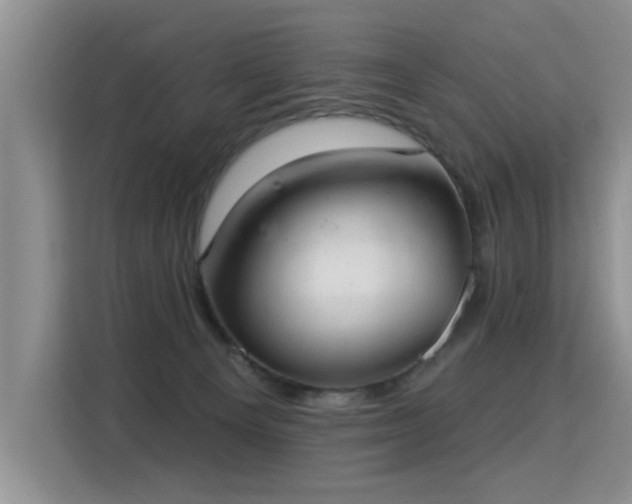 X0000115360129200911101204