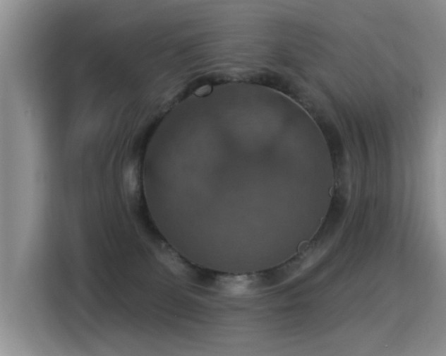 X0000115360131200911101204