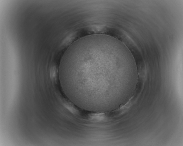 X0000115360132200911101204