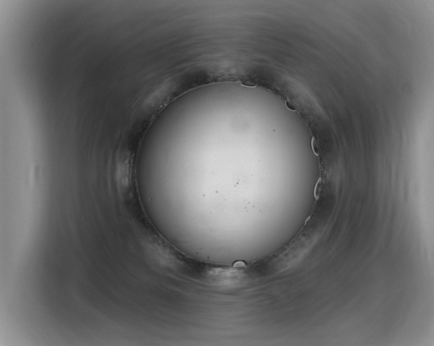 X0000115360133200911101204
