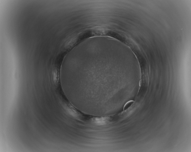 X0000115360134200911101204