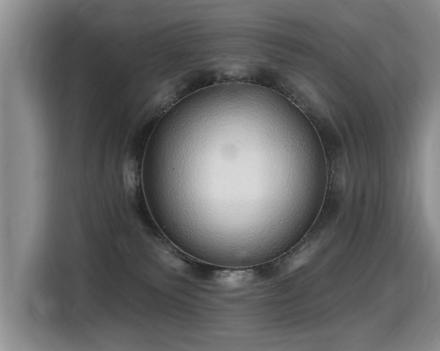 X0000115360135200911101204