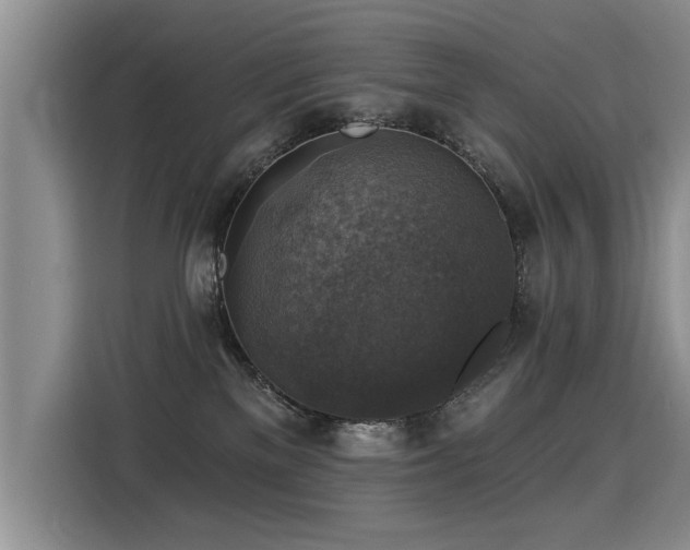 X0000115360137200911101204