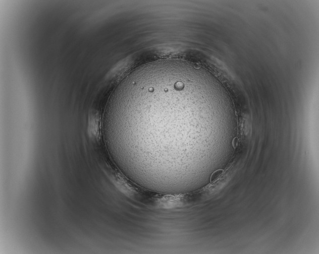 X0000115360138200911101204