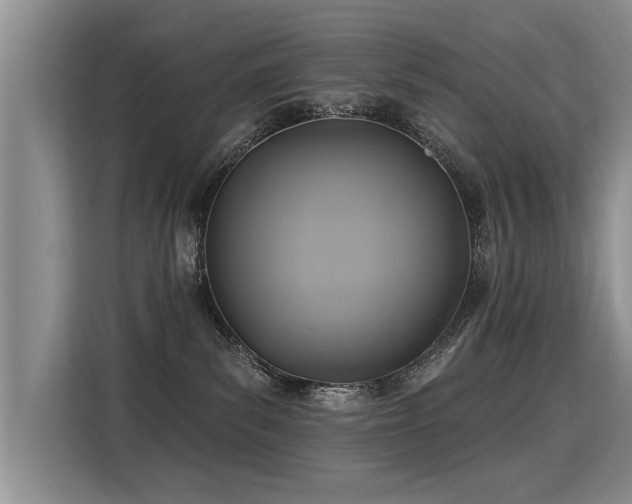 X0000115360139200911101204