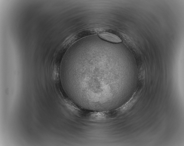 X0000115360140200911101204