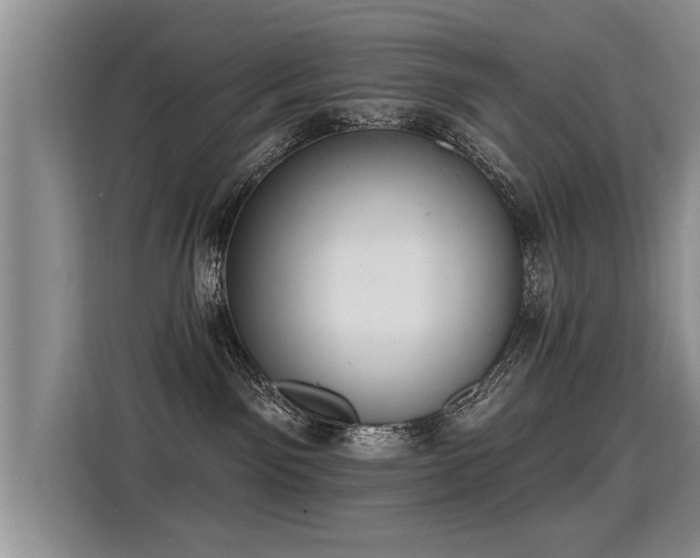 X0000115360141200911101204