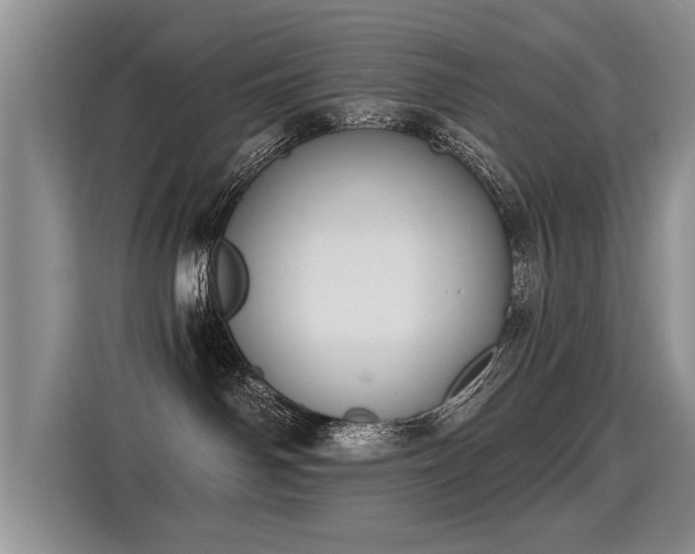 X0000115360142200911101204