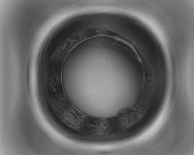 X0000115360143200911101204