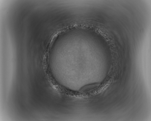X0000115360144200911101204