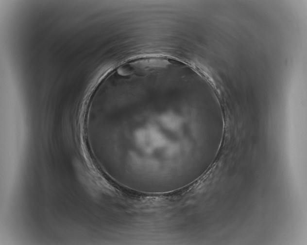 X0000115360145200911101203