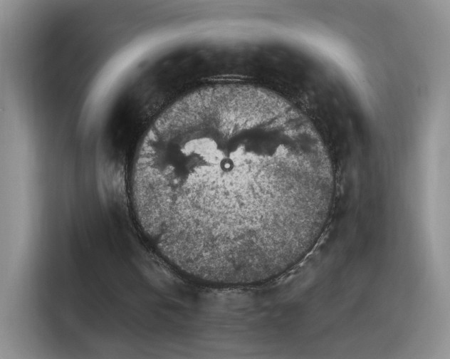 X0000115360146200911101203
