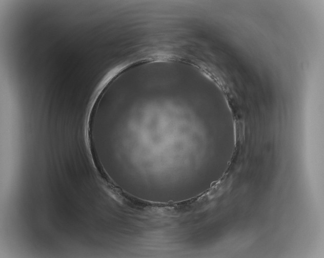 X0000115360147200911101204