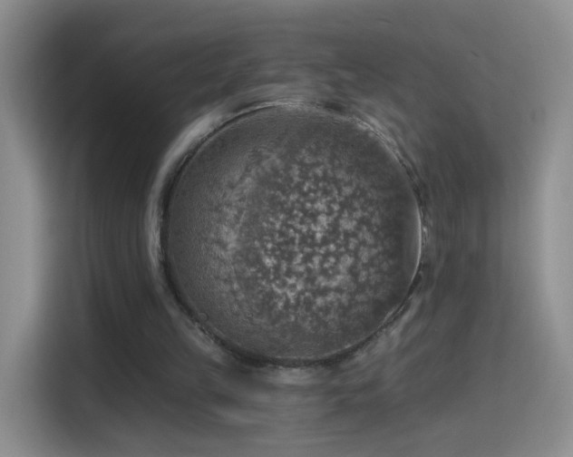 X0000115360149200911101204
