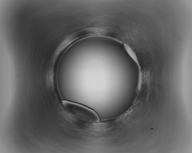 X0000115360150200911101204