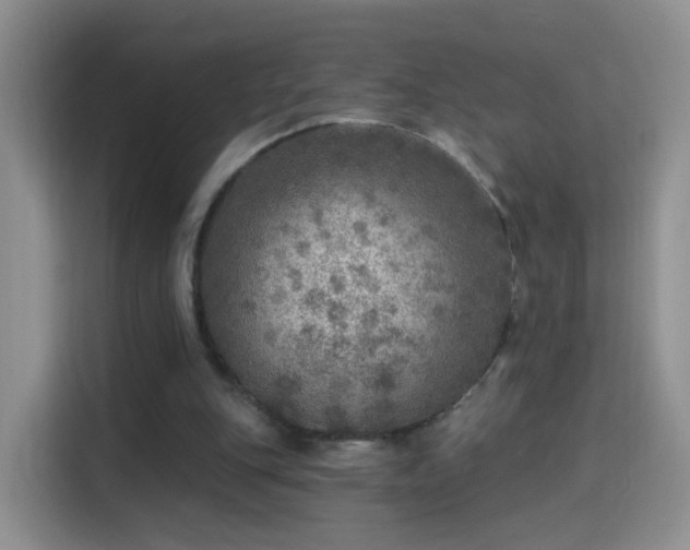 X0000115360151200911101204