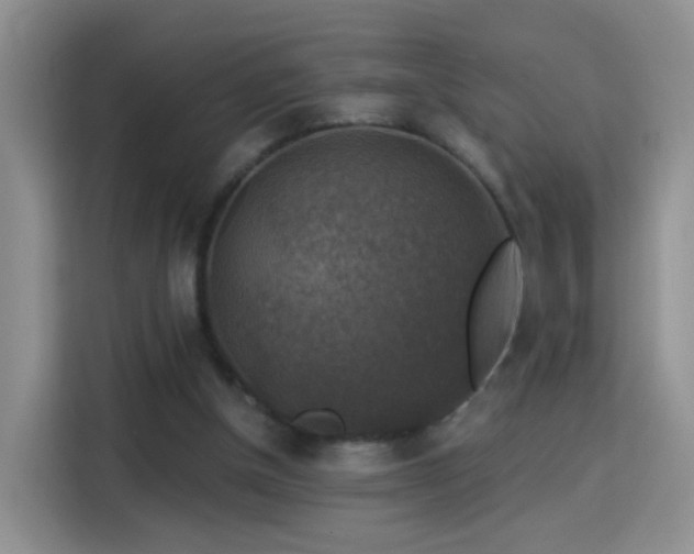 X0000115360154200911101204