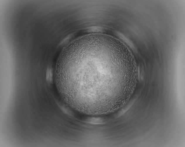X0000115360157200911101204