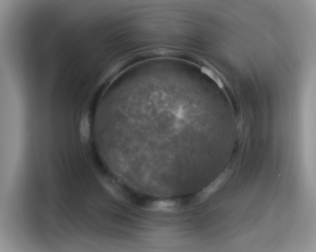 X0000115360158200911101204