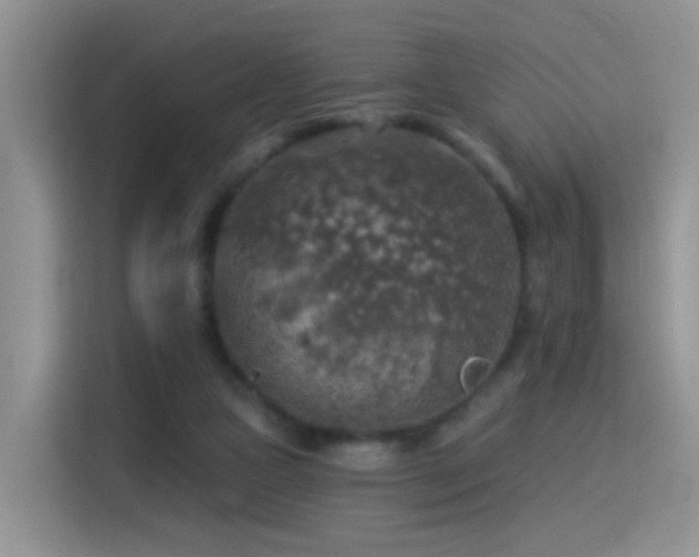 X0000115360161200911101204